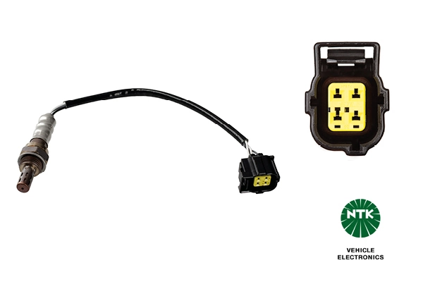 Oxygen Sensor
