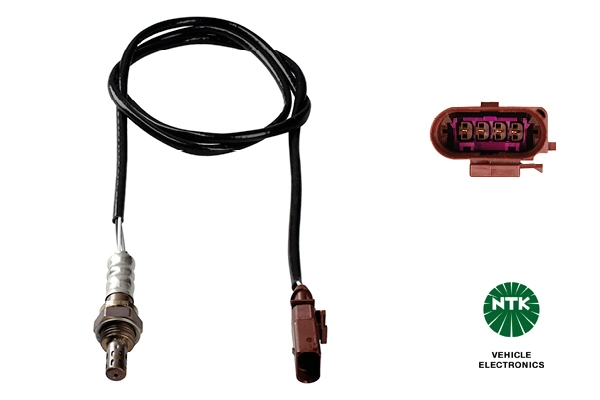 Oxygen Sensor