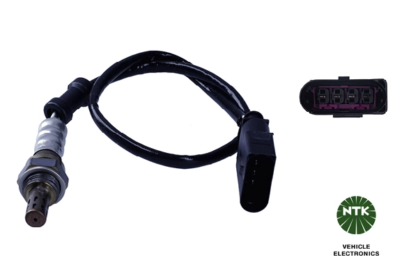 Oxygen Sensor