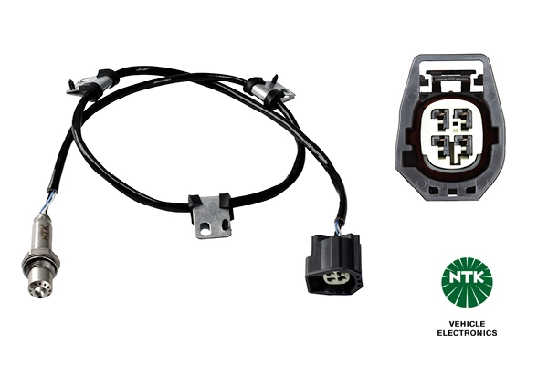 Oxygen Sensor