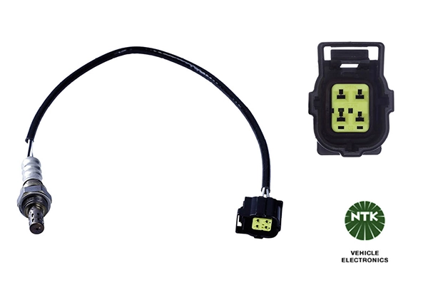 Oxygen Sensor