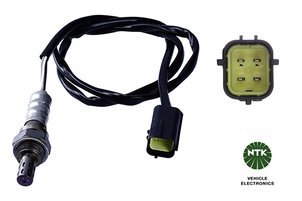 Oxygen Sensor