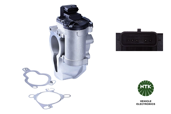 EGR Valve