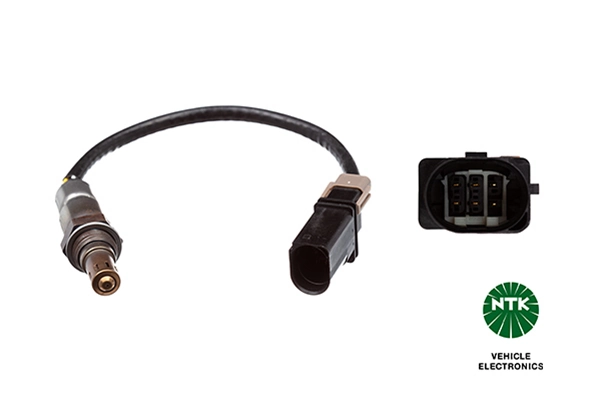 Oxygen Sensor
