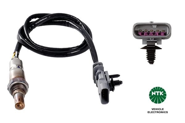 Oxygen Sensor