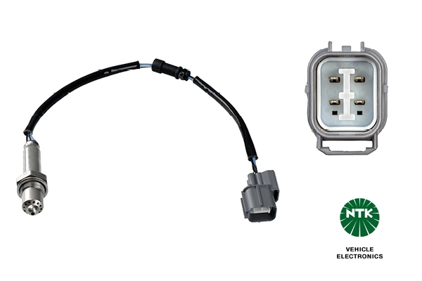 Oxygen Sensor