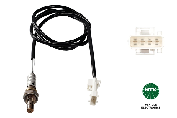 Oxygen Sensor