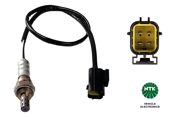 Oxygen Sensor