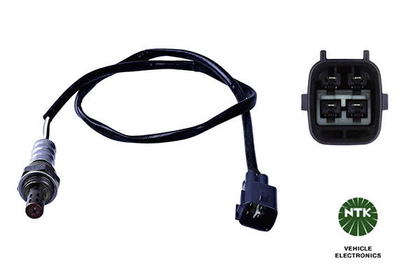 Oxygen Sensor