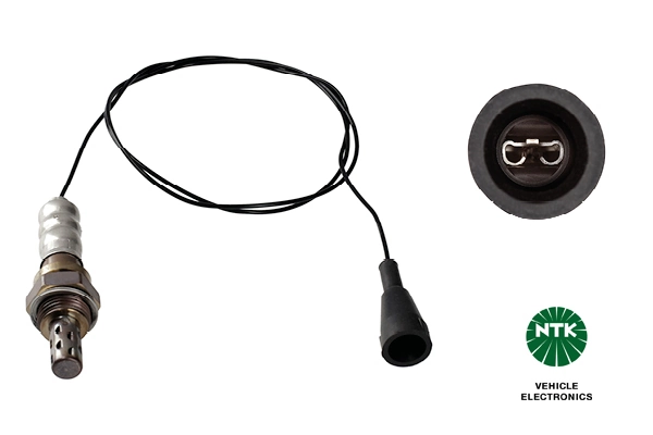 Oxygen Sensor