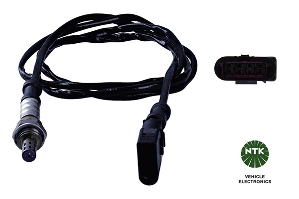 Oxygen Sensor