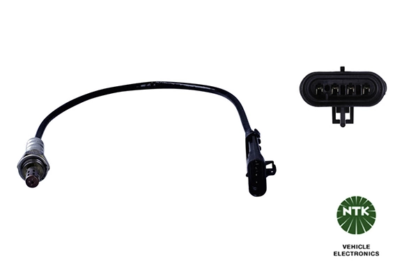 Oxygen Sensor