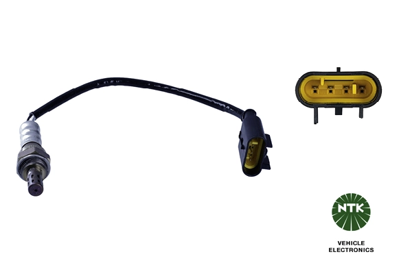 Oxygen Sensor