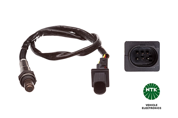 Oxygen Sensor