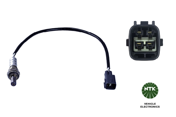 Oxygen Sensor