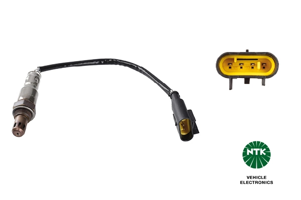 Oxygen Sensor