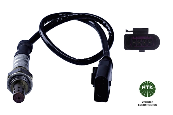Oxygen Sensor