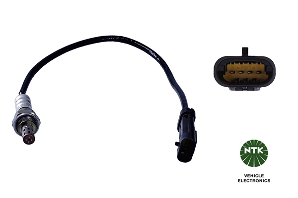 Oxygen Sensor
