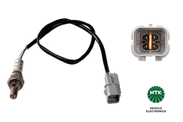 Oxygen Sensor
