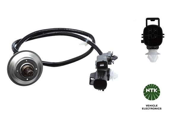 Oxygen Sensor