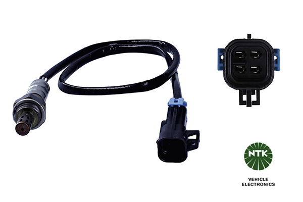 Oxygen Sensor