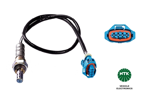 Oxygen Sensor