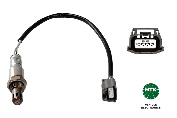 Oxygen Sensor
