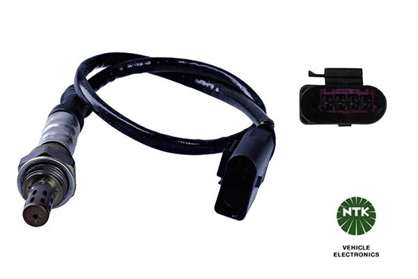 Oxygen Sensor