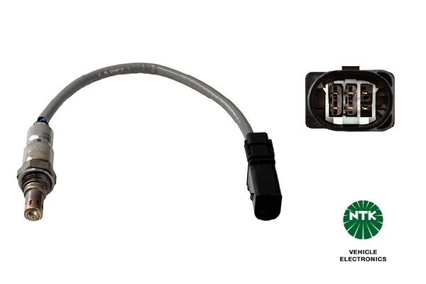 Oxygen Sensor