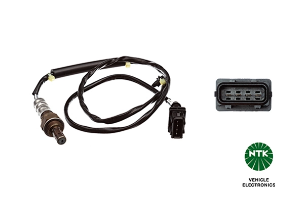 Oxygen Sensor