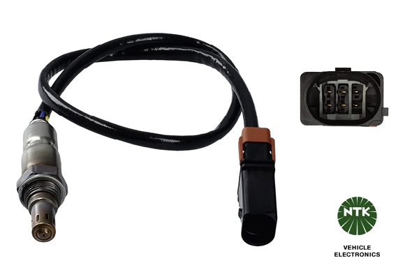 Oxygen Sensor