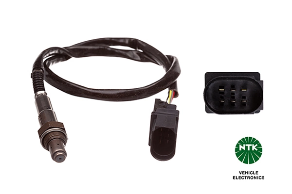Oxygen Sensor