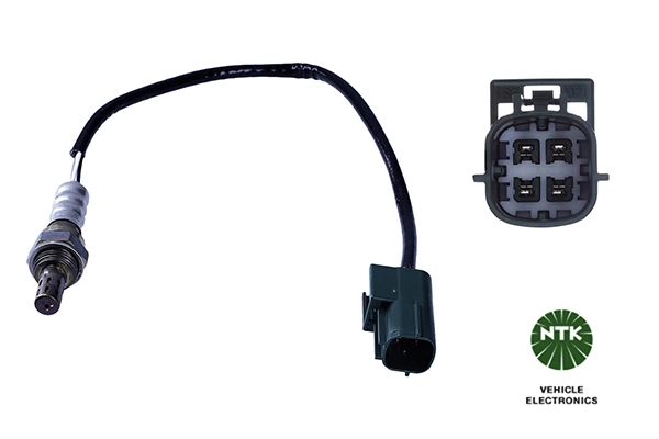 Oxygen Sensor
