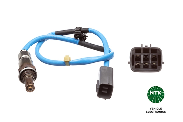 Oxygen Sensor
