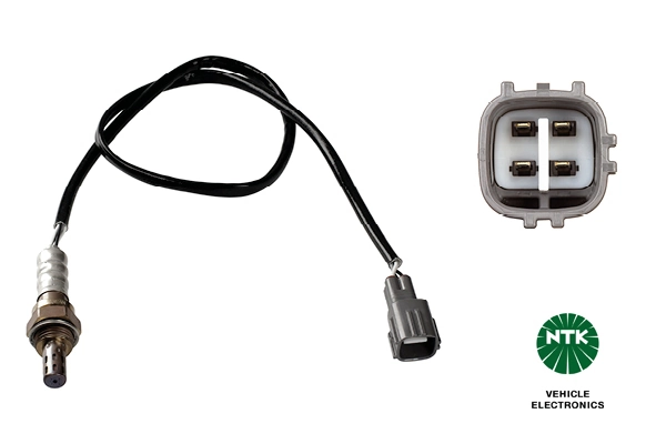 Oxygen Sensor