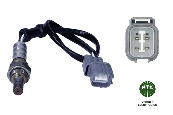 Oxygen Sensor