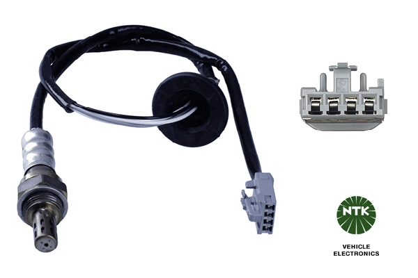 Oxygen Sensor