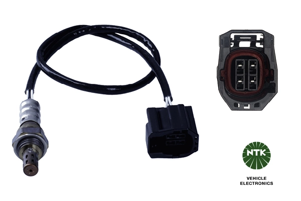 Oxygen Sensor