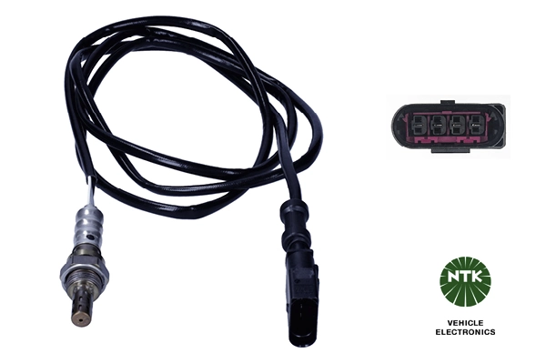 Oxygen Sensor