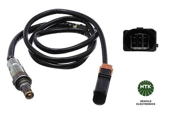 Oxygen Sensor
