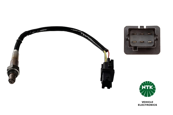 Oxygen Sensor