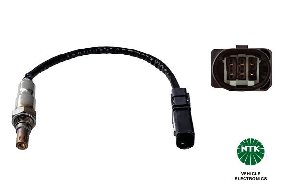 Oxygen Sensor