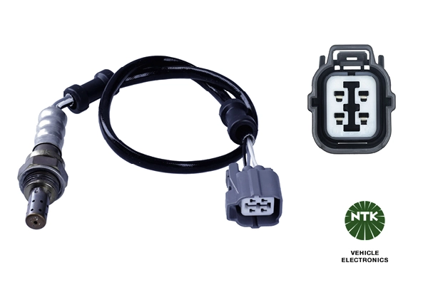 Oxygen Sensor