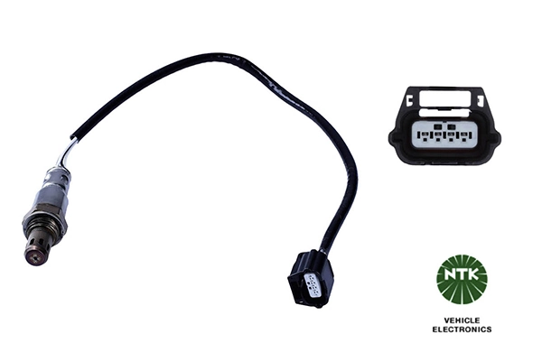Oxygen Sensor