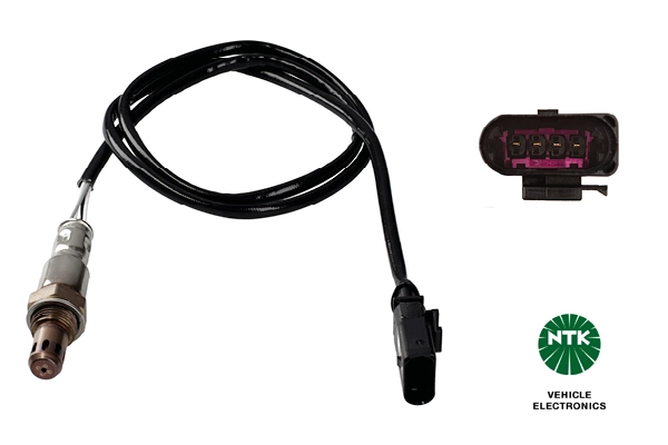 Oxygen Sensor