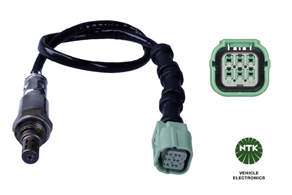 Oxygen Sensor