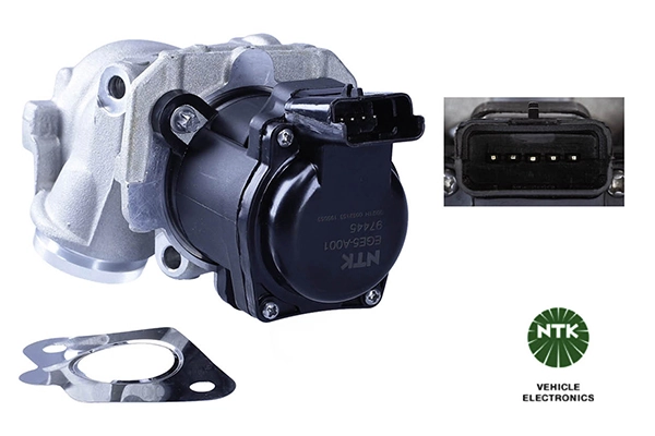 EGR Valve