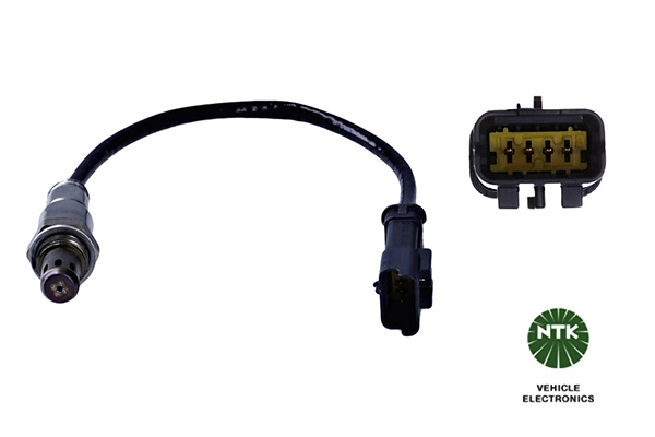 Oxygen Sensor