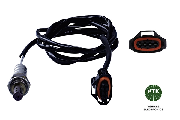 Oxygen Sensor