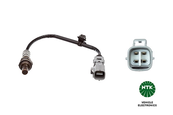 Oxygen Sensor
